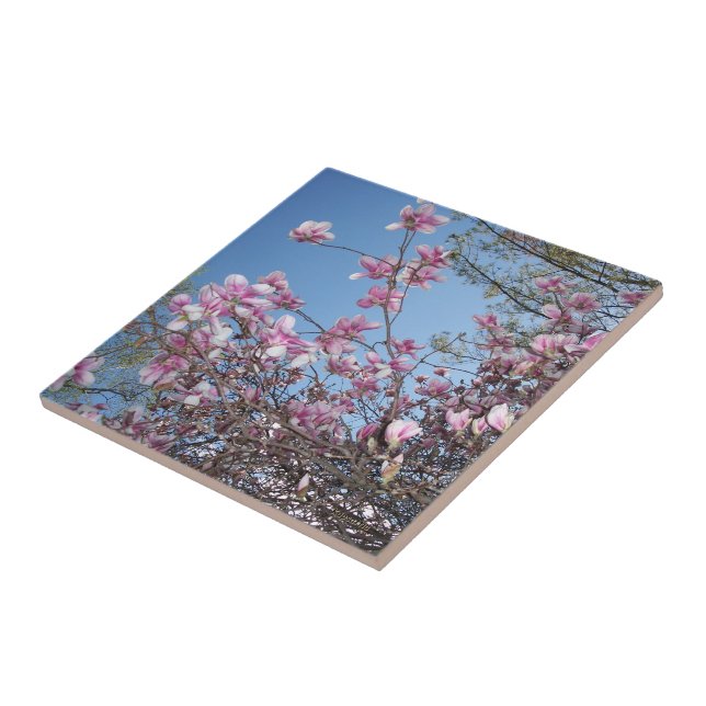Cherry Blossoms Ceramic Tile (Side)