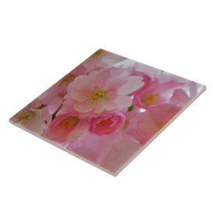 Cherry Blossoms Ceramic Tile