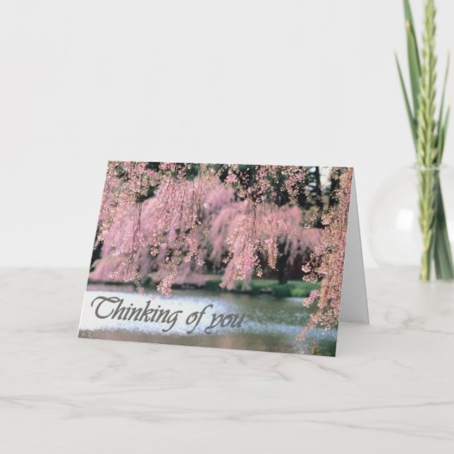 Cherry Blossoms Condolence Card (Front)