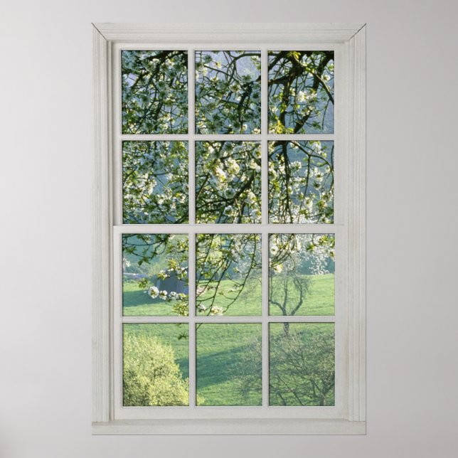 Cherry Blossoms - Fake White Window (1 0f 3) Poster (Front)