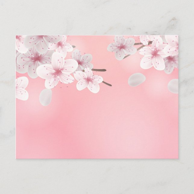Cherry Blossoms Floral Background Flower Design Postcard (Front)
