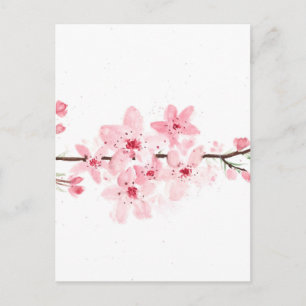 Cherry blossoms flowers postcard