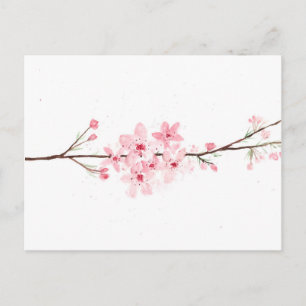 Cherry blossoms flowers sakura Japanese pink Postcard