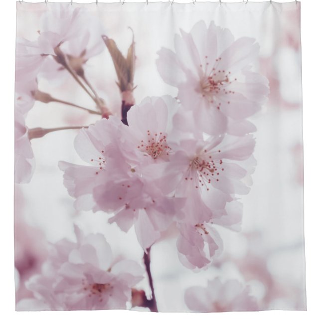 CHERRY BLOSSOMS FLOWERS SHOWER CURTAIN (Front)