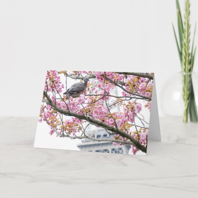 Cherry Blossoms Folded Blank Greeting Card (Front)