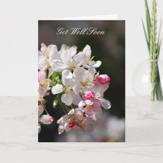 Cherry blossoms Get Well Soon Card (Front)