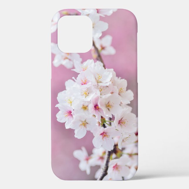 Cherry Blossoms Gift Box Case-Mate iPhone Case (Back)