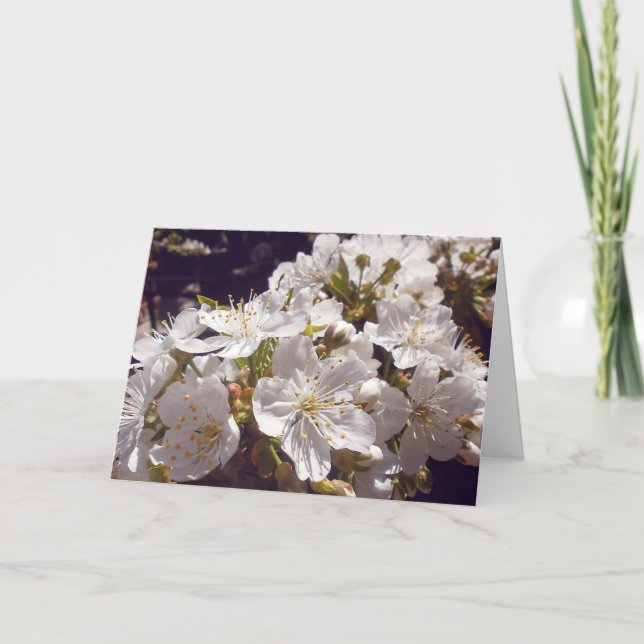 Cherry blossoms. Happy Easter. Holiday Card (Front)