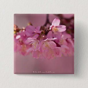 Cherry Blossoms Hot Spring 2012 Apparel & Gifts 15 Cm Square Badge