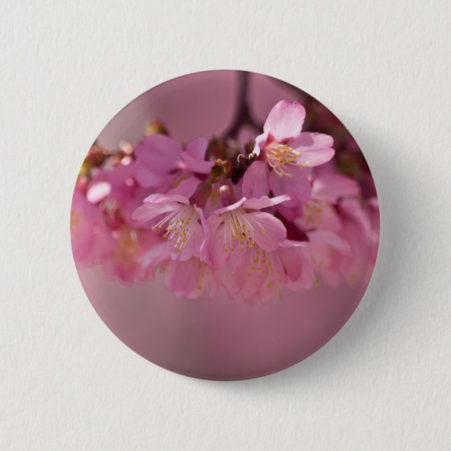 Cherry Blossoms Hot Spring  2012 Apparel  & Gifts 6 Cm Round Badge (Front)