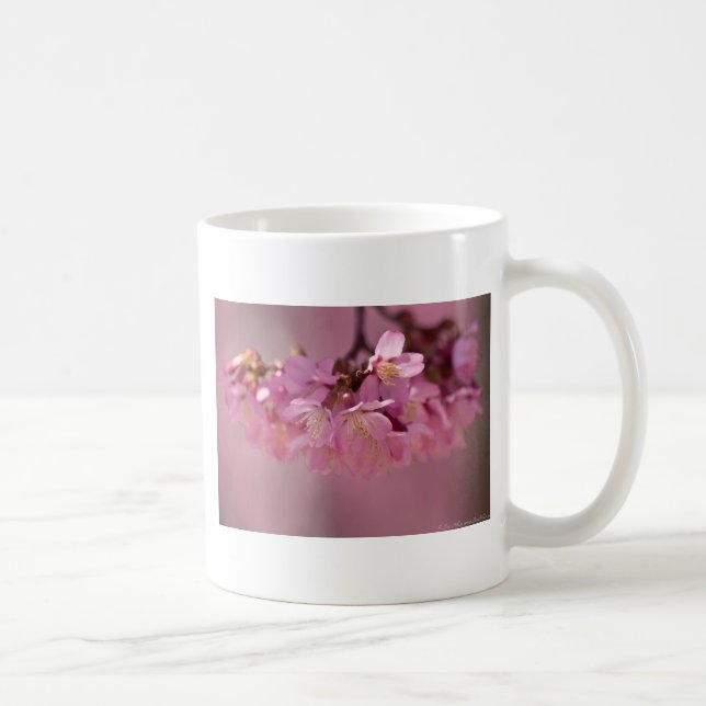 Cherry Blossoms Hot Spring  2012 Apparel  & Gifts Coffee Mug (Right)