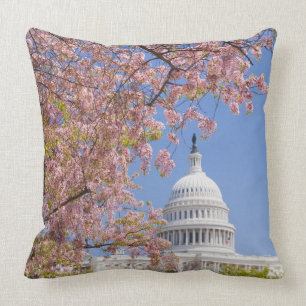 Cherry blossoms in front of Capitol building Cushion