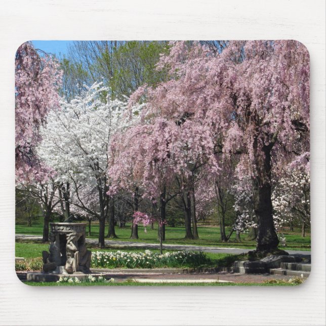 Cherry Blossoms in Philadelphia Mousepad (Front)