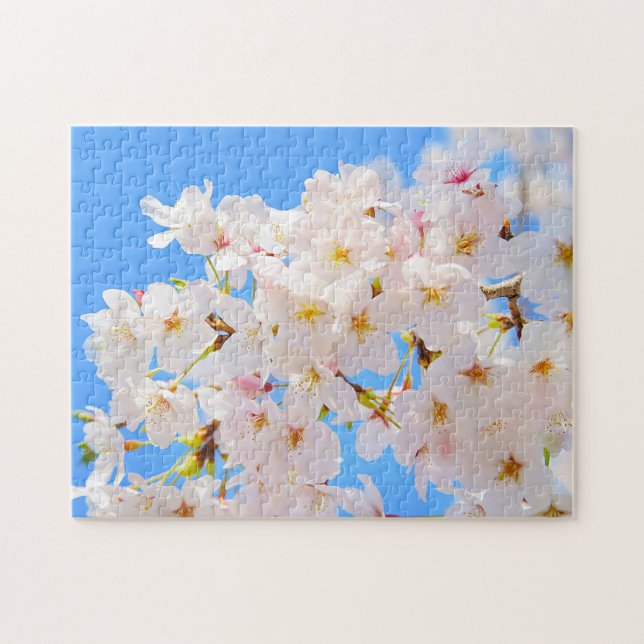 Cherry Blossoms in Spring Jigsaw Puzzle (Horizontal)