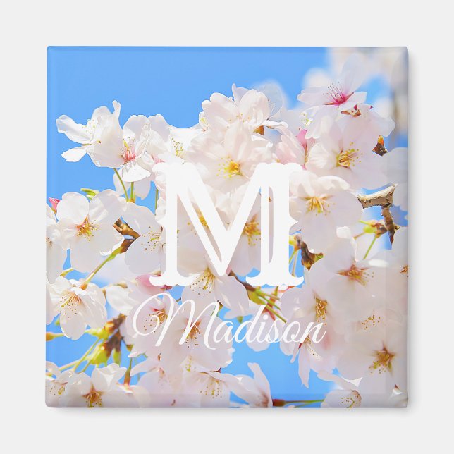 Cherry Blossoms in Spring Magnet (Front)