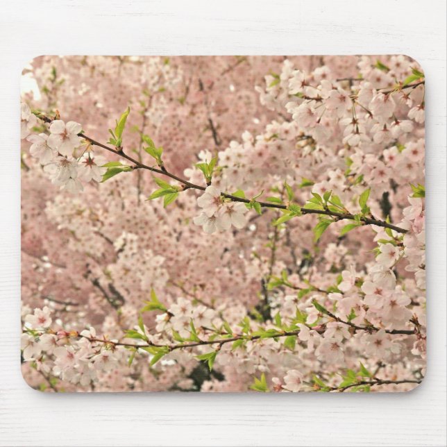 Cherry Blossoms in Spring Mouse Pad (Front)