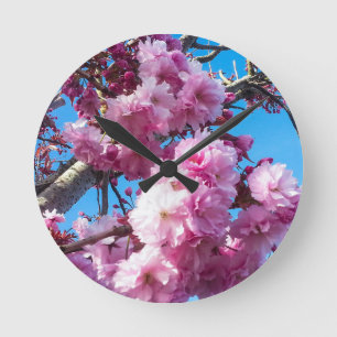 Cherry Blossoms in Spring time Round Clock
