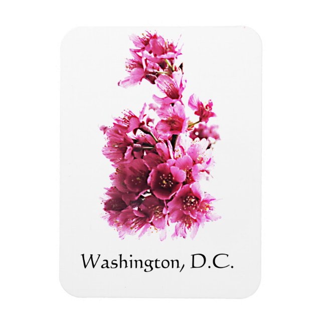 Cherry blossoms in Washington, D.C. Magnet (Vertical)