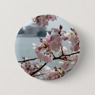 Cherry Blossoms in Washington DC 6 Cm Round Badge