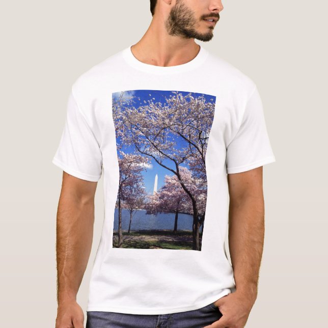 Cherry Blossoms in Washington DC Men's T-shirt (Front)