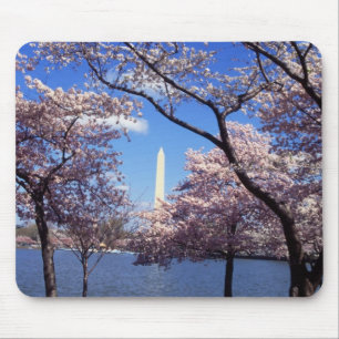 Cherry Blossoms in Washington DC mousepad