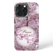 Cherry Blossoms 