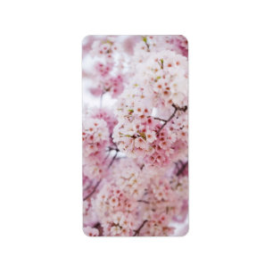 Cherry Blossoms Label