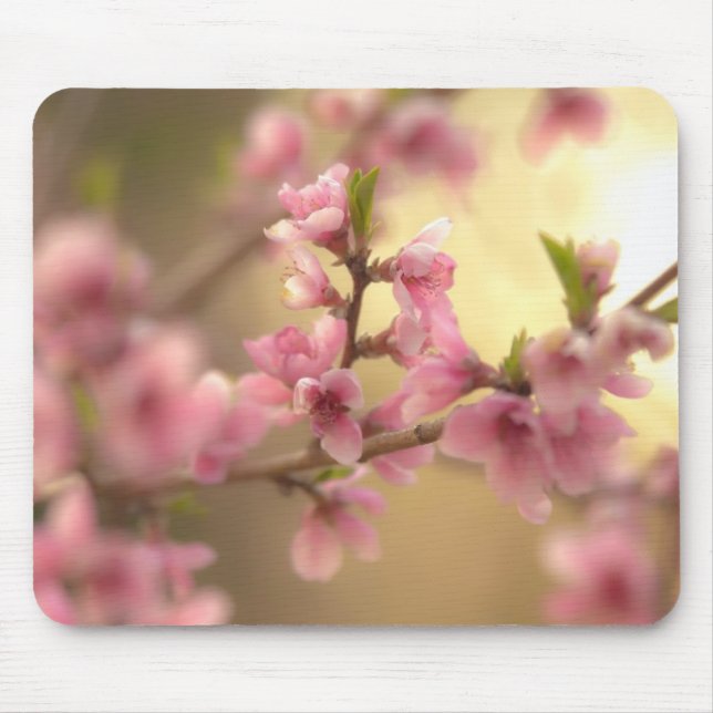 Cherry Blossoms Mouse Pad (Front)