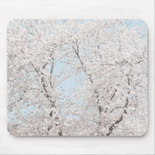 cherry blossoms mouse pad