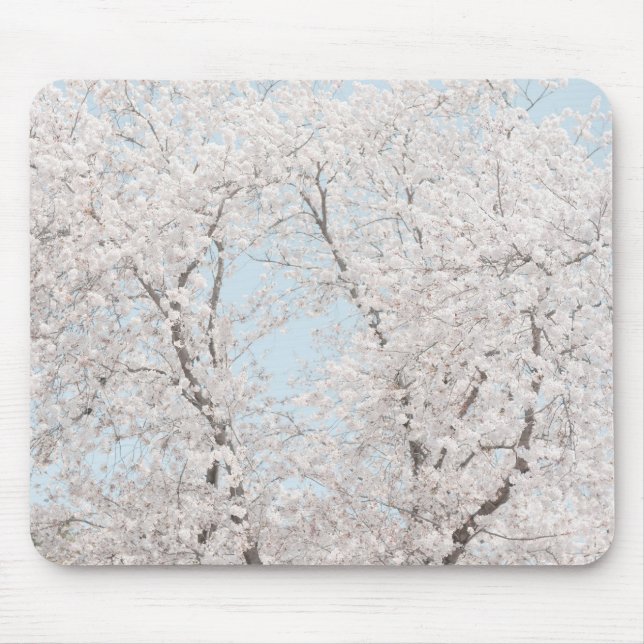 cherry blossoms mouse pad (Front)