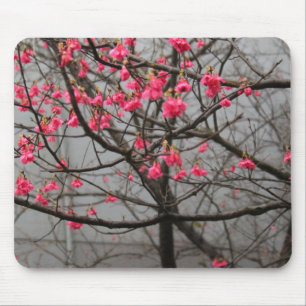 Cherry Blossoms Mouse Pad