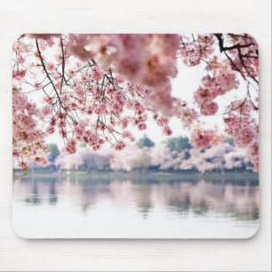 Cherry Blossoms Mouse Pad