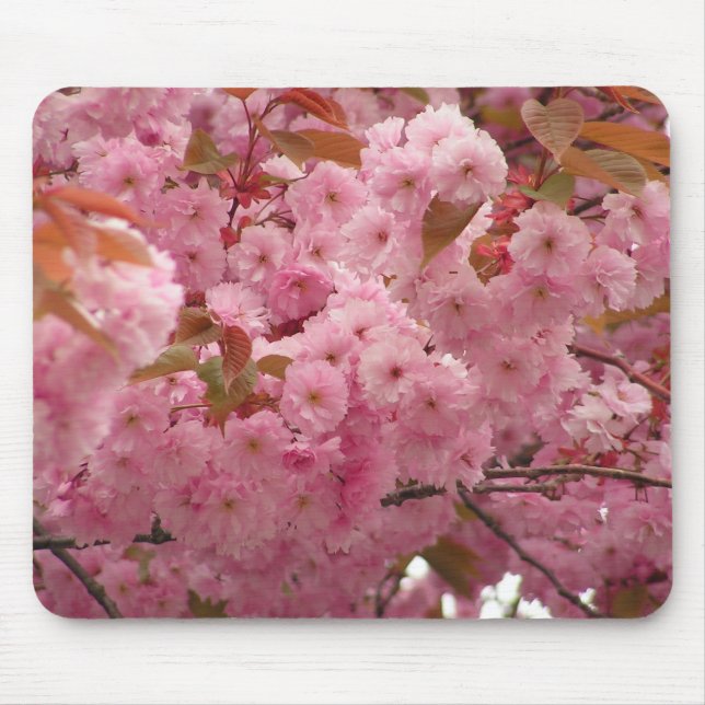 Cherry Blossoms Mouse Pad (Front)