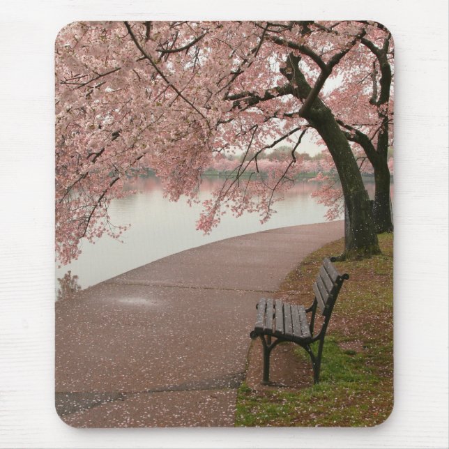 Cherry Blossoms Mousepad (Front)