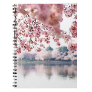 Cherry Blossoms Notebook