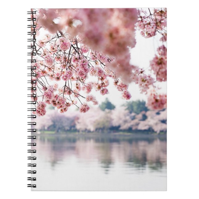 Cherry Blossoms Notebook (Front)