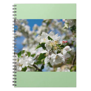 Cherry blossoms. notebook