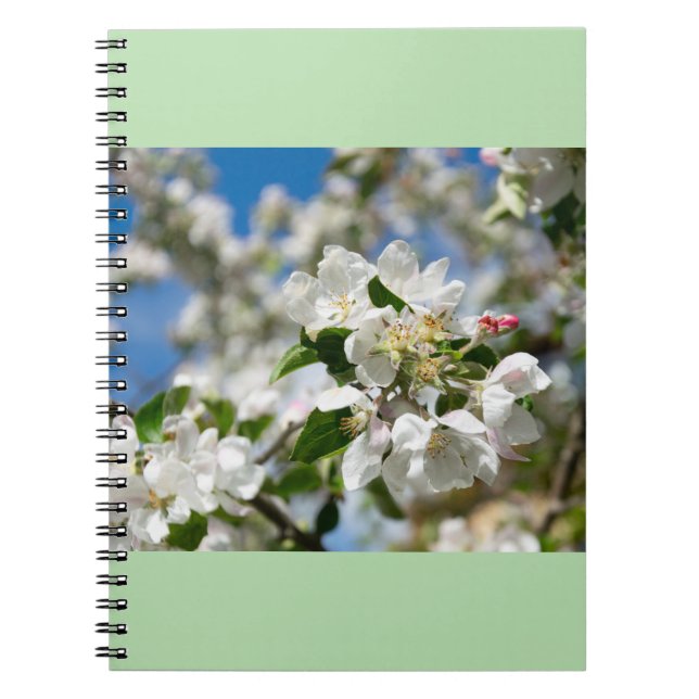 Cherry blossoms. notebook (Front)