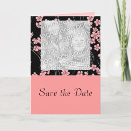 Cherry Blossoms on Black Photo Card