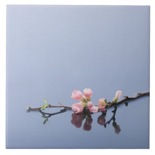 Cherry blossoms on water ceramic tile