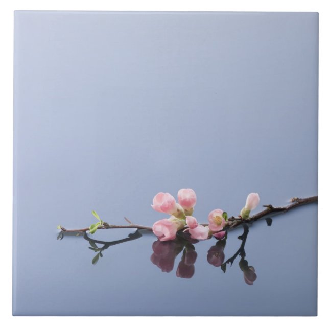 Cherry blossoms on water ceramic tile (Front)