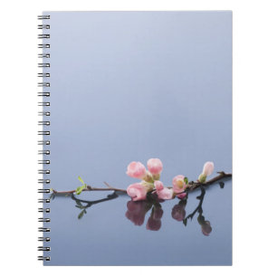 Cherry blossoms on water notebook