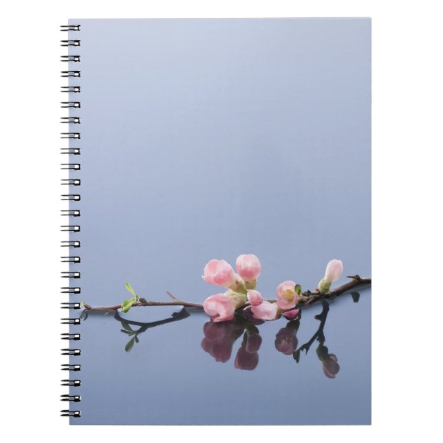 Cherry blossoms on water notebook (Front)
