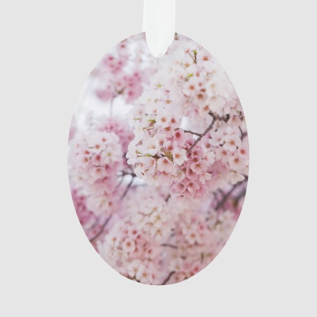 Cherry Blossoms Ornament (Back)