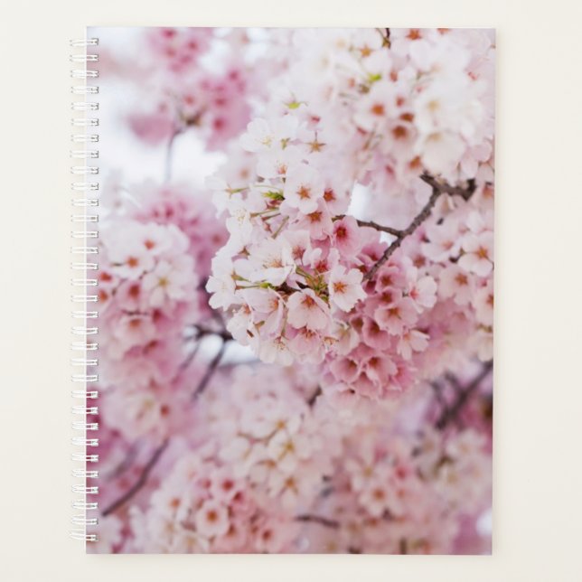 Cherry Blossoms Planner (Front)
