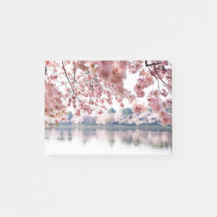 Cherry Blossoms Post-it Notes