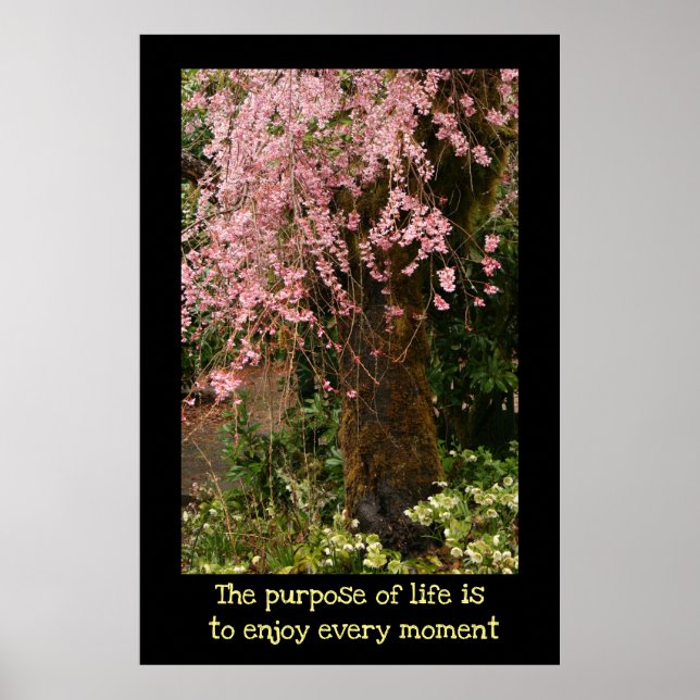 Cherry blossoms poster (Front)