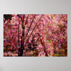 Cherry Blossoms Poster