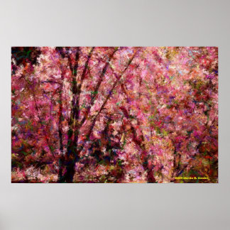 Cherry Blossoms Poster