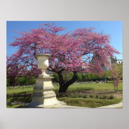 Cherry Blossoms Poster Paper (Matte)